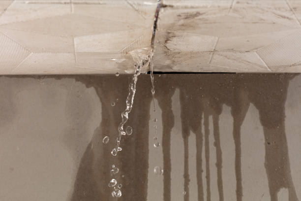 Professional Water Damage Inspection technician working in Paoli, PA